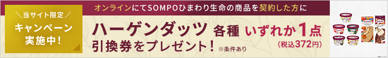 キャンペーン実施中！オンラインにて商品を契約した方にハーゲンダッツ各種いずれか1点（税込372円）引換券をプレゼント！